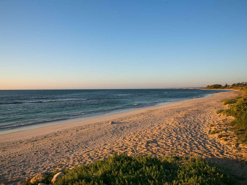 Nesuto Geraldton Aparthotel Nature photo